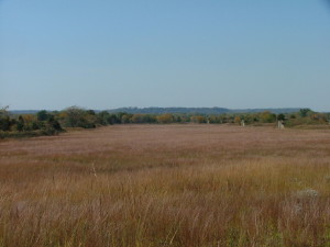 lostmoundprairie