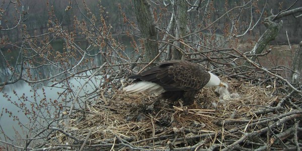 Feeding time Mar 14, 2016