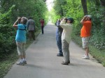 monthly-bird-walks