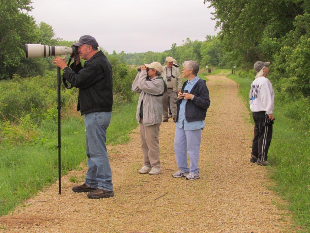 bird-walk-1